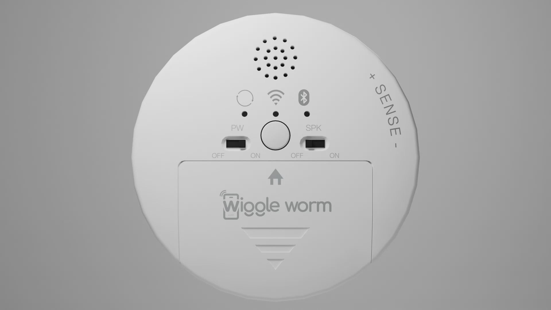 Wiggle Worm